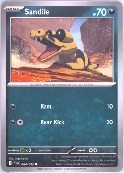 Sandile #64
