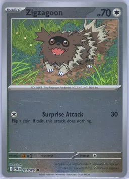 Zigzagoon #81