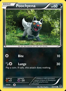 Poochyena #53