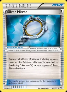 Silver Mirror #89