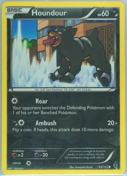 Houndour #55