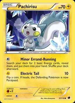 Pachirisu #37