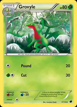 Grovyle #7