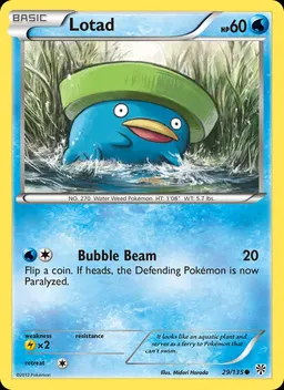 Lotad #29