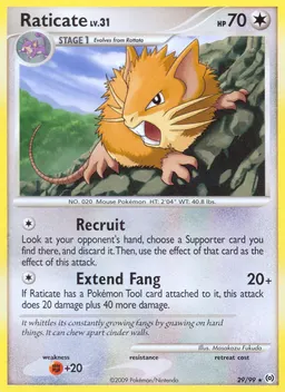 Raticate #29