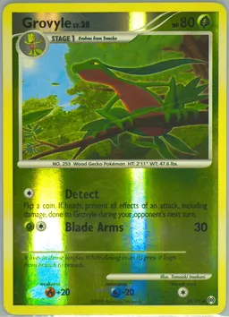 Grovyle #38