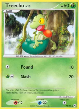 Treecko #79