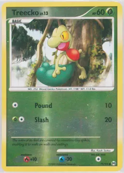 Treecko #79