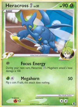 Heracross 4 #24