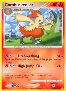 Combusken #45
