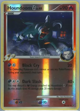 Houndoom G #50