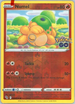 Numel #13