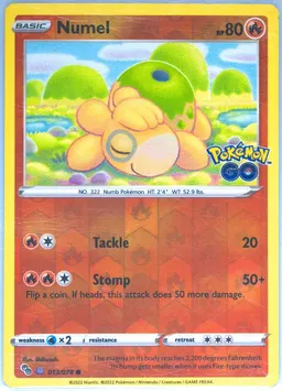 Numel #13