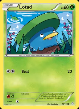 Lotad #10