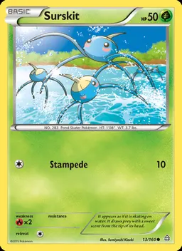 Surskit #13