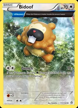 Bidoof #117