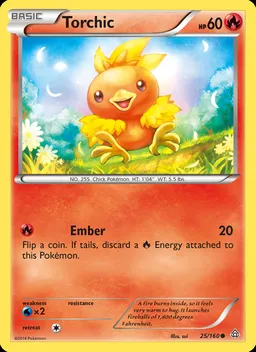Torchic #25