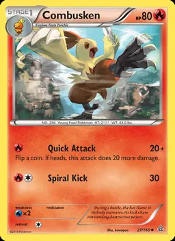 Combusken #27