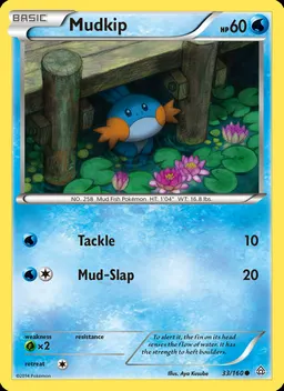 Mudkip #33