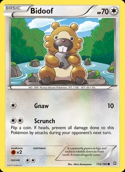 Bidoof #116
