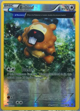 Bidoof #117