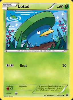 Lotad #10