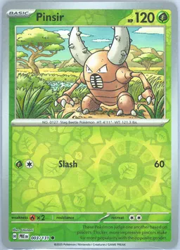 Pinsir #3