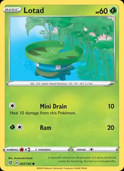 Lotad #7