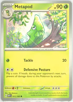 Metapod #11