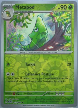 Metapod #11