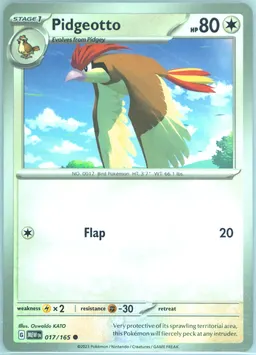 Pidgeotto #17