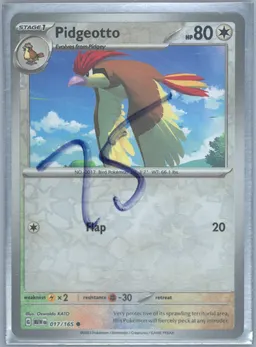 Pidgeotto #17