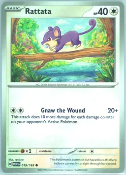 Rattata #19