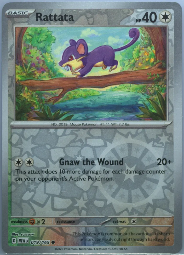 Rattata card photo