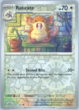 Raticate #20