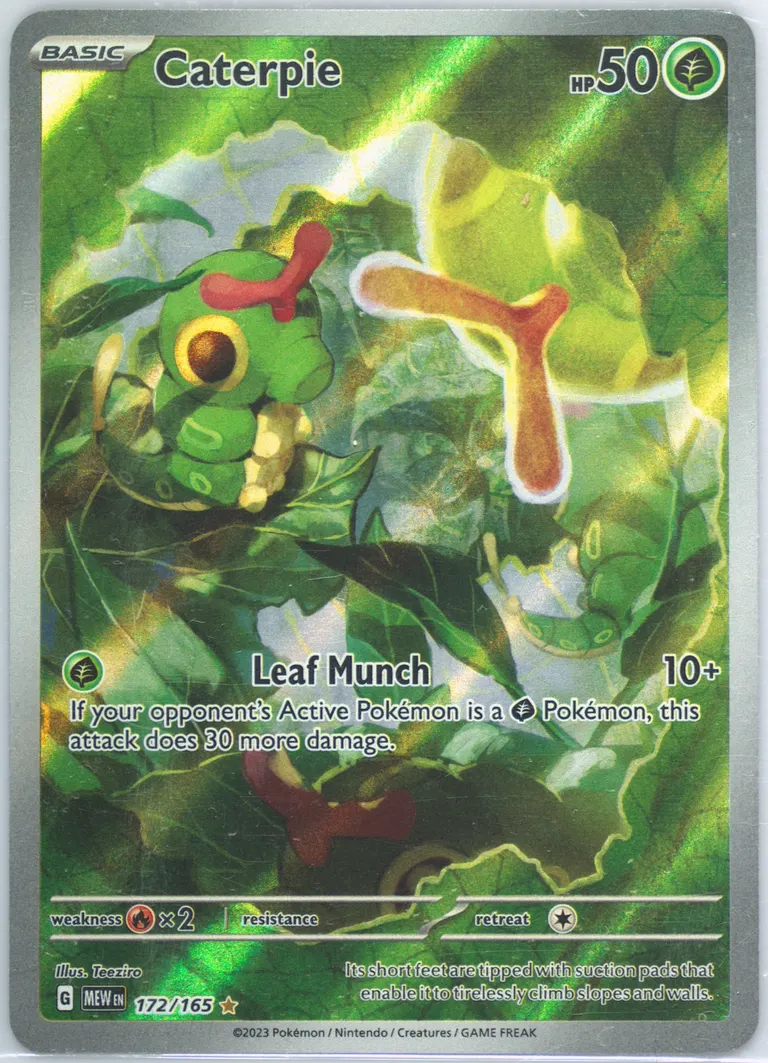 Caterpie card photo