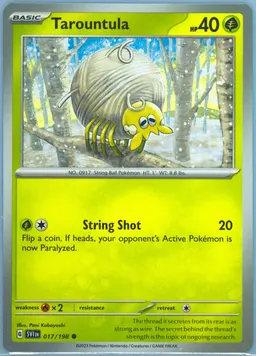 Tarountula #17