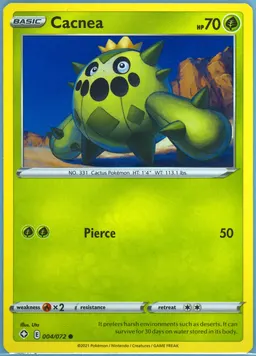 Cacnea #4