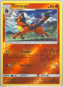 Torracat #16