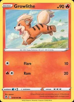 Growlithe #19