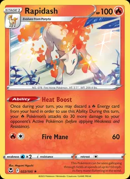 Rapidash #22