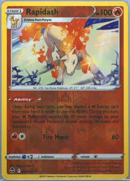 Rapidash #22
