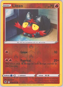 Litten #30