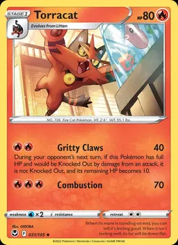 Torracat #31