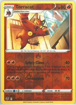 Torracat #31