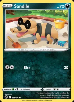 Sandile #111