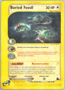 Buried Fossil #47