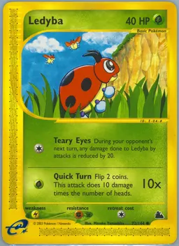 Ledyba #72