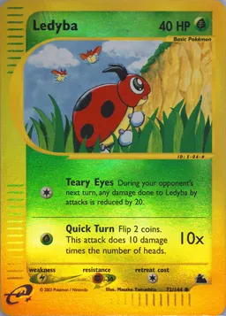 Ledyba #72