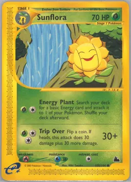 Sunflora #105